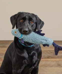 Pacemakerco.shop31bf188f1f 2