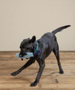 Pacemakerco.shop31bf188f1f 3