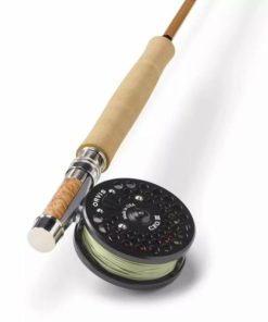 Pacemakerco.shop3202e87e6b 2