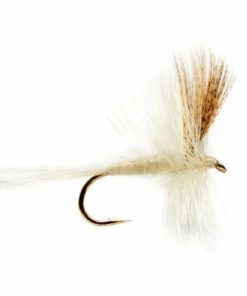 Pacemakerco.shop3204c02efb 1