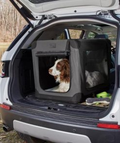 Pacemakerco.shop340f594c7b 1