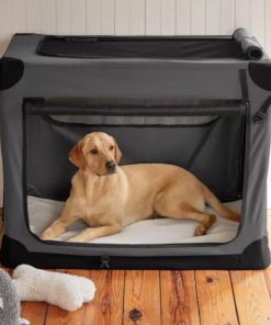 Pacemakerco.shop340f594c7b 2