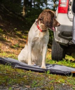 Pacemakerco.shop366691f975 3