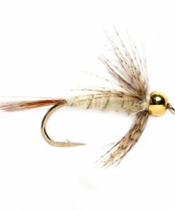 Pacemakerco.shop367f26a45d 1