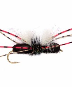 Pacemakerco.shop376ef39af4 1