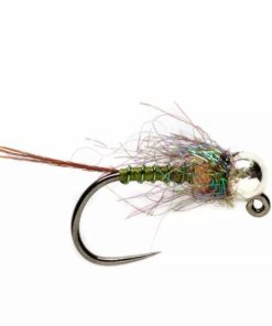 Pacemakerco.shop3853ed3723 1