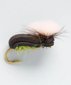 Pacemakerco.shop389487bf7e 1