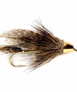 Pacemakerco.shop390c9c0ffa 1