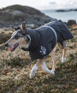 Pacemakerco.shop3a4a731420 2