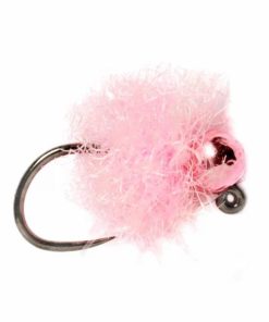 Pacemakerco.shop3a62210ac4 1