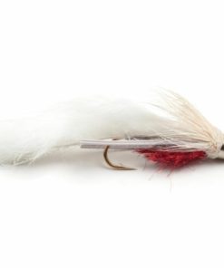 Pacemakerco.shop3ae3097e9b 1