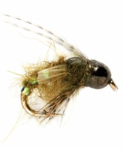 Pacemakerco.shop3b1a478018 1