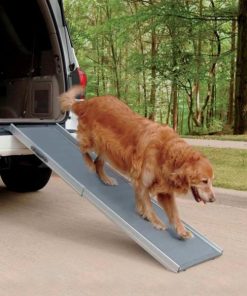 Pacemakerco.shop3c52bcec07 1