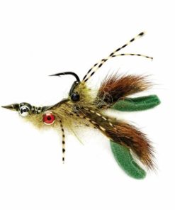 Pacemakerco.shop40960ea8b0 1