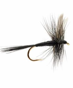 Pacemakerco.shop41e34526a1 1