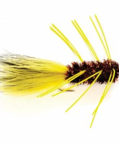 Pacemakerco.shop41ea9b231c 1