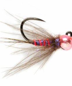 Pacemakerco.shop42ae86cecd 1