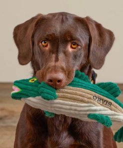 Pacemakerco.shop42cf04d7d9 2