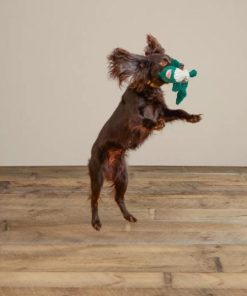 Pacemakerco.shop42cf04d7d9 4