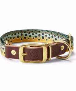 Pacemakerco.shop44e8308297 1