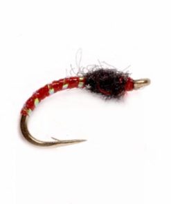 Pacemakerco.shop4531407582 1