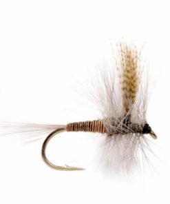 Pacemakerco.shop458e5b0e81 1