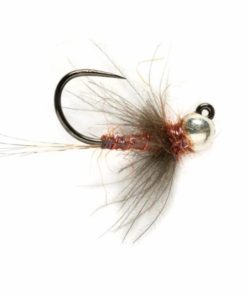 Pacemakerco.shop491d287f8f 1