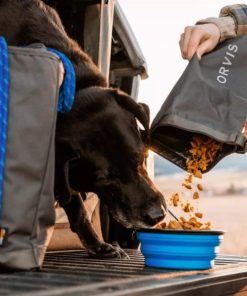 Pacemakerco.shop49582c7781 4