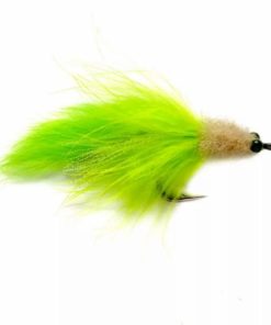 Pacemakerco.shop4ac08aec25 1