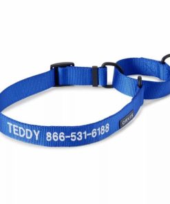 Pacemakerco.shop4b680ae10d 1