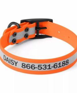 Pacemakerco.shop4d14ea786d 1