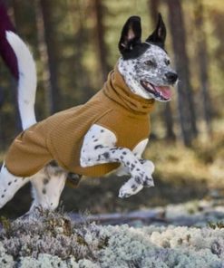 Pacemakerco.shop4d5bf20199 2