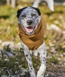 Pacemakerco.shop4d5bf20199 3