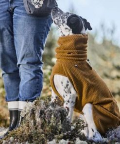 Pacemakerco.shop4d5bf20199 4