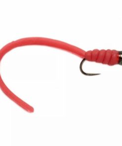 Pacemakerco.shop4ec050b30b 1