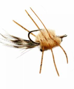 Pacemakerco.shop4ecbc21a8c 1