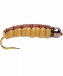 Pacemakerco.shop4fb85d76a9 1