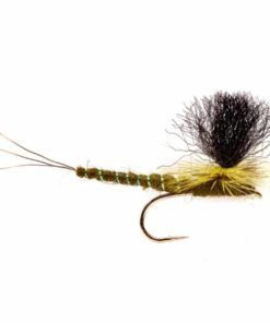 Pacemakerco.shop4fd07b3835 1