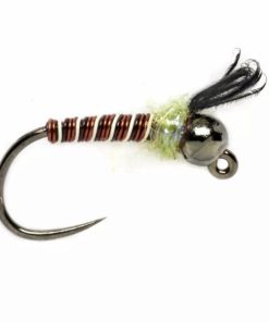 Pacemakerco.shop507d225768 1