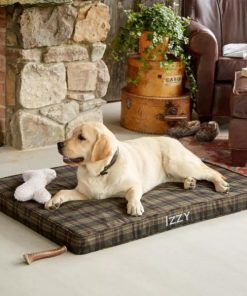 Pacemakerco.shop535d135b42 4