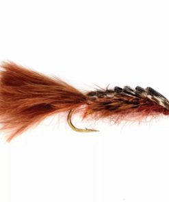 Pacemakerco.shop555c945bd4 1