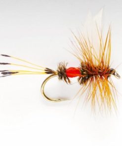 Pacemakerco.shop5598f81e5a 1