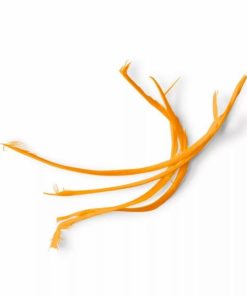 Pacemakerco.shop562b1db6ae 1