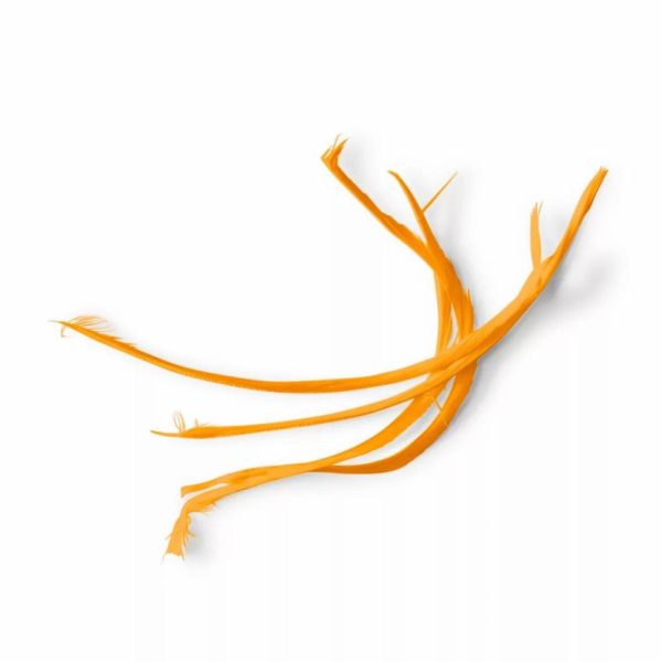 Pacemakerco.shop562b1db6ae 1