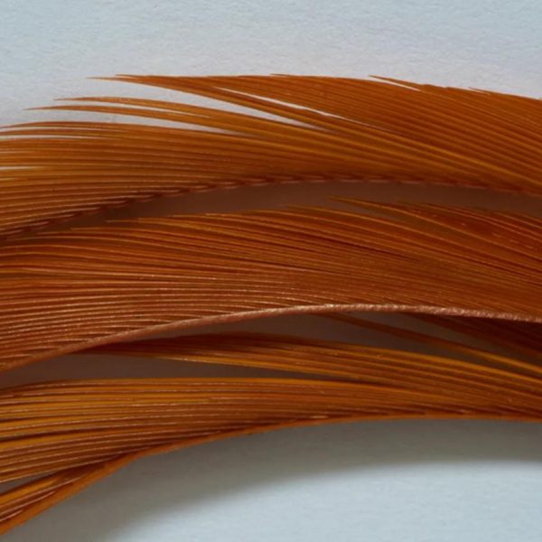 Pacemakerco.shop562b1db6ae 2