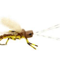 Pacemakerco.shop56841c1f34 1