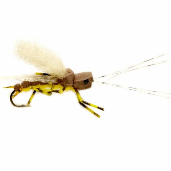 Pacemakerco.shop56841c1f34 1