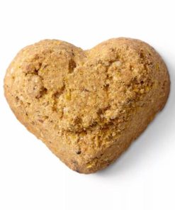 Pacemakerco.shop573c2ae510 2