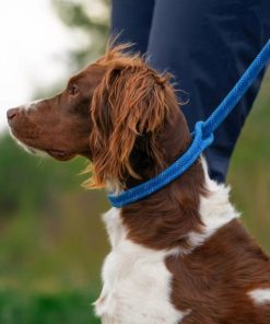 Pacemakerco.shop59187cb4fb 2