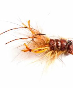 Pacemakerco.shop5d0b13eb17 1